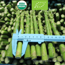 Nop EU Organic IQF Frozen Vegetables Green Asparagus From China